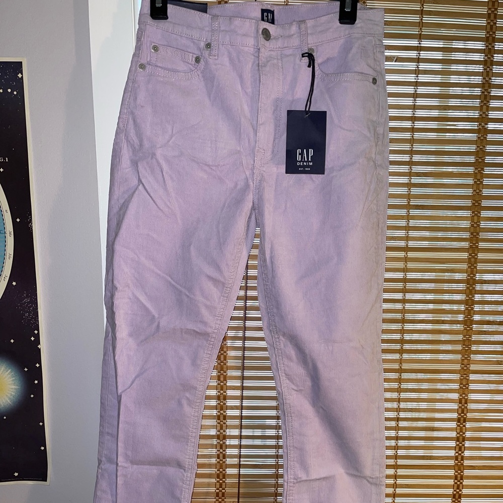 GAP Purple Corduroy Panta